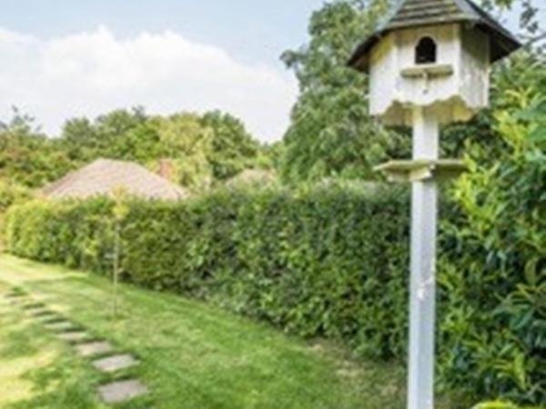Knole B&B Севенокс Экстерьер фото